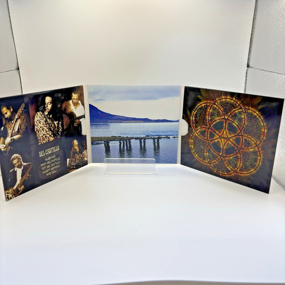 Del Castillo Cd anyone wanna - Picture 3 of 4